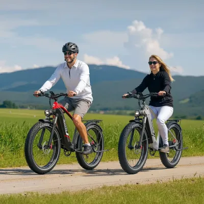 Vélo électrique F26 Lite – image 2